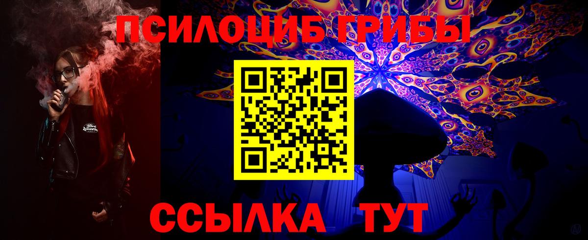 Галлюциногенные грибы Cubensis  Вход с VPN  Псилоцибиновые грибы мицелий  Сосновоборск 